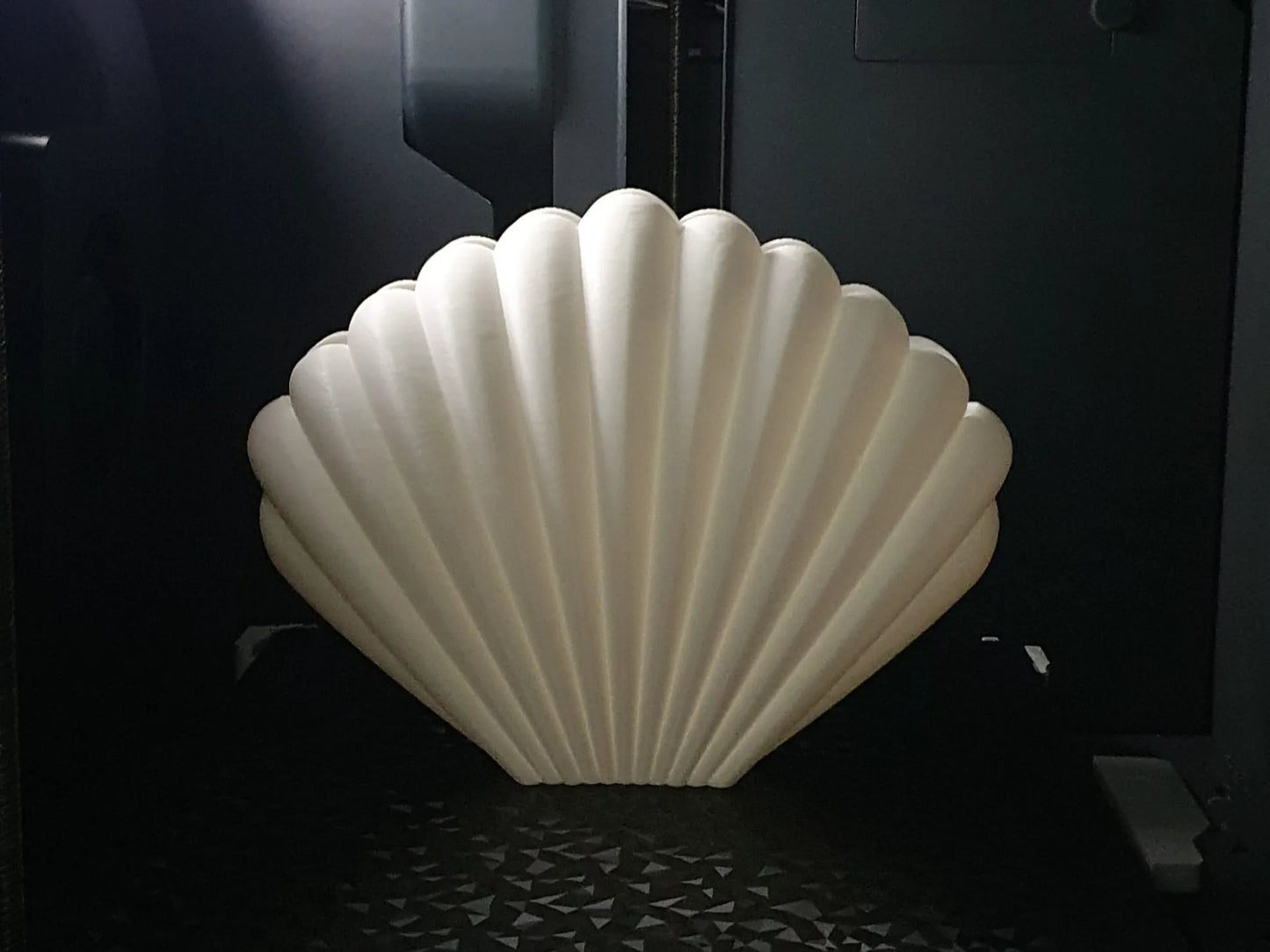 Muschelvase