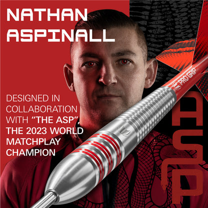 Target Nathan Aspinall Brass Steeldarts - 22g